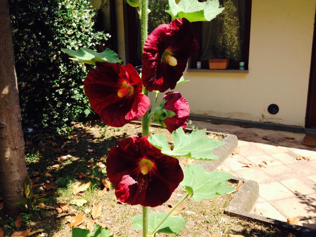 Bed and Breakfast La Casa Di Scarlett Florencia Exterior foto